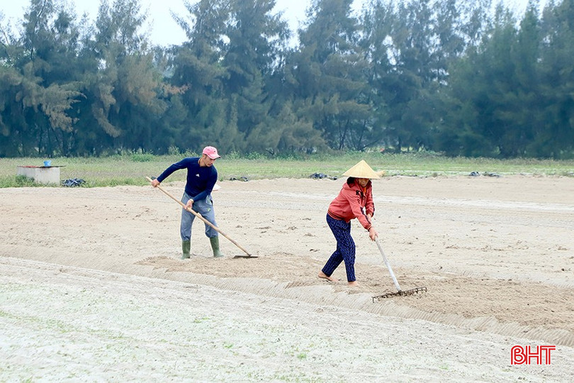 Người dân vùng bãi ngang Thạch Văn làm đất, chuẩn bị gieo trỉa lạc xuân. bqbht_br_j3.jpg
