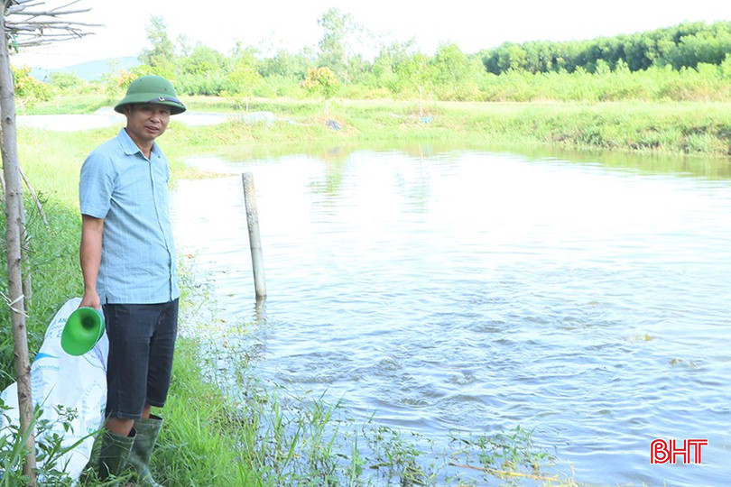 Mô hình chăn nuôi cho hiệu quả kinh tế cao của ông Phạm Văn Tình. a2-3519.jpg