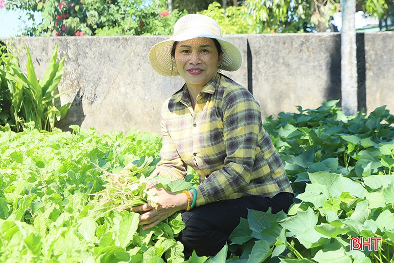 Nhờ tích cực làm vườn mẫu, chị Nghĩa có thêm nguồn thu nhập ổn định. 1-1000.jpg
