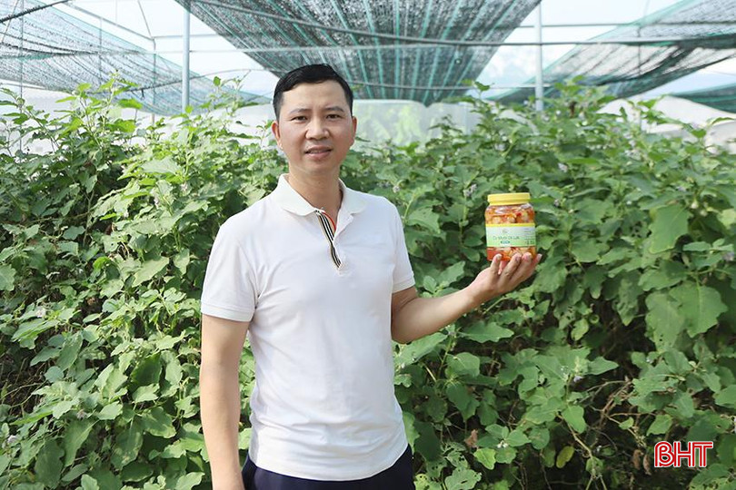 Anh Phan Hoàng Ước với mong muốn xây dựng thương hiệu cà sạch của riêng mình. 4.jpg