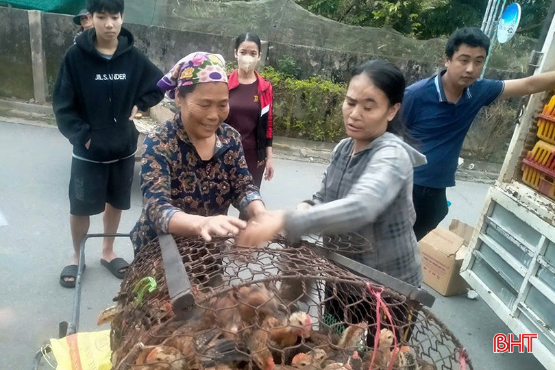 Các hộ nghèo, hộ cận nghèo trên địa bàn xã Thạch Trung phấn khởi khi được trao sinh kế. p1-7303-4893.jpg