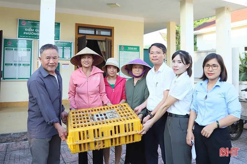 Dự án đa dạng hoá sinh kế, phát triển mô hình giảm nghèo được nhiều địa phương trên địa bàn TP Hà Tĩnh triển khai hiệu quả. p4-2032-2235.jpg
