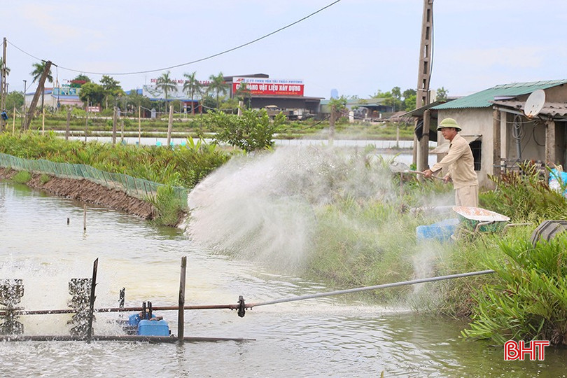 Ông Trương Quang Lộc duy trì việc khử khuẩn nguồn nước hồ nuôi bằng canxi 3 ngày/lần. bqbht_br_m1.jpg