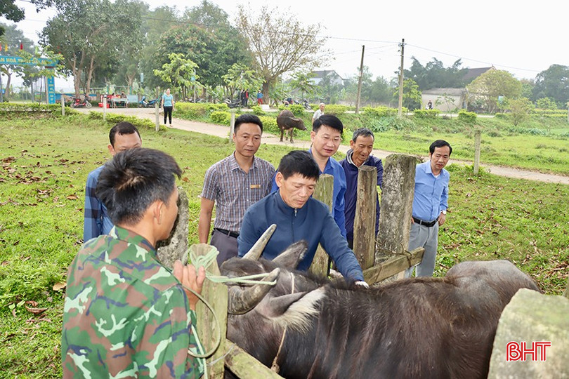 Lãnh đạo UBND huyện Đức Thọ trực tiếp triển khai công tác tiêm phòng đợt 1/2025 trong sáng ngày 25/3. bqbht_br_j1.jpg