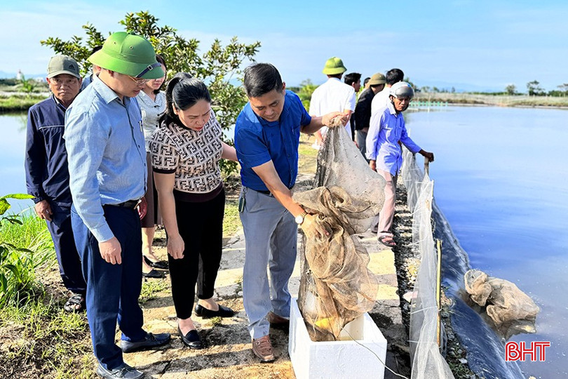 Cán bộ chuyên môn tiến hành kiểm tra năng suất, chất lượng của các mô hình nuôi trồng thủy sản trên địa bàn. bqbht_br_l1.jpg
