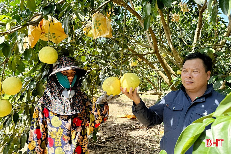 Thành quả từ nông nghiệp hữu cơ được thị trường ưa chuộng, người nông dân từ đó yên tâm sản xuất. bqbht_br_l4.jpg