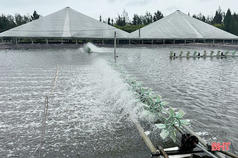 Nuôi tôm thâm canh 3 giai đoạn được nhiều hộ dân triển khai nhằm giảm thiểu thiệt hại khi thời tiết bất thường. bqbht_br_l3.jpg