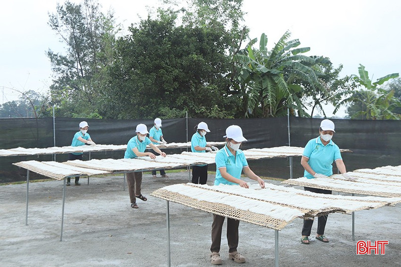 Công nhân tại xưởng sản xuất miến gạo Hải Hà thực hiện công đoạn phơi miến. bqbht_br_2-2123.jpg