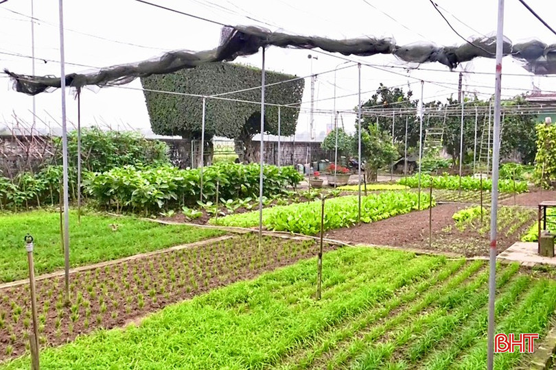Những vườn mẫu đạt chuẩn góp phần nâng cao thu nhập, mang lại cảnh sắc nông thôn trù phú. bqbht_br_t2-9079.jpg