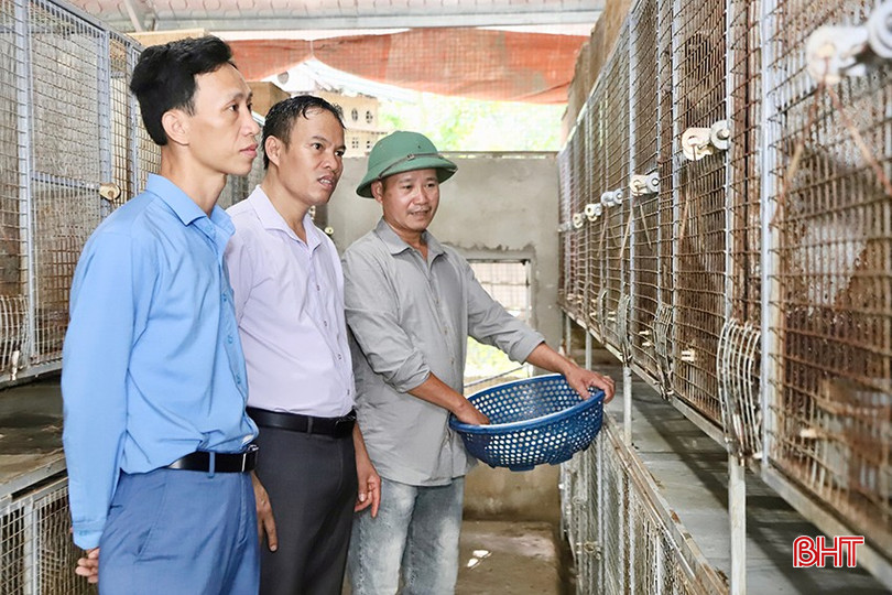 Hội Nông dân huyện Đức Thọ thường xuyên bám sát địa bàn, theo dõi hiệu quả của các mô hình kinh tế mới. bqbht_br_k4.jpg