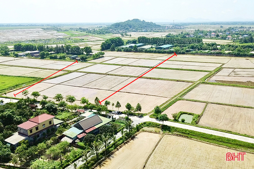 Tình trạng ô nhiễm không khí do các trang trại chăn nuôi quy mô lớn được xây dựng gần khu dân cư. bqbht_br_thiet-ke-chua-co-ten.png