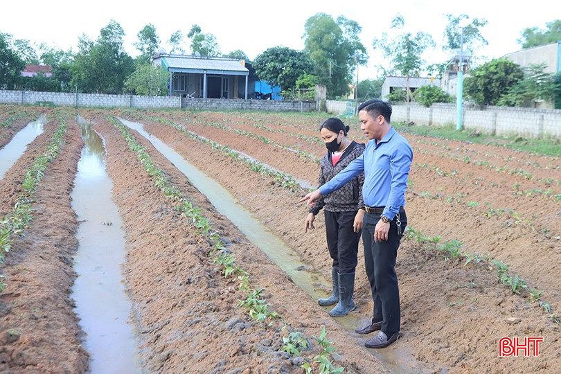 Chị Hằng được cán bộ Hội Nông dân xã Cẩm Sơn hướng dẫn kỹ thuật chăm sóc khoai lang giống Nhật. 5-3266.jpg