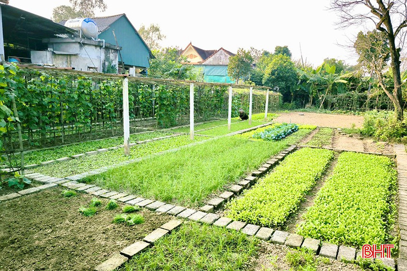 Những vườn hộ được cải tạo, quy hoạch bài bản là một trong những điểm nhấn của phong trào thi đua xây dựng "nhà sạch, vườn đẹp" tại xã Quang Vĩnh. bqbht_br_1.jpg