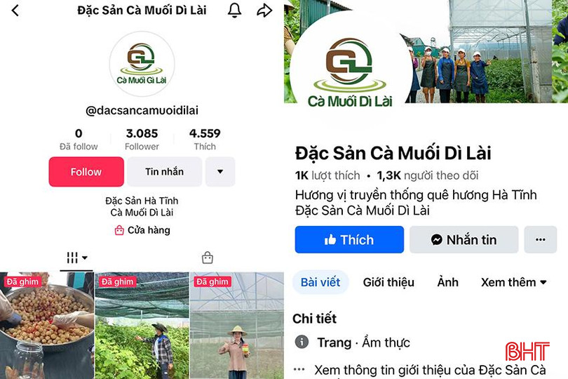 Kênh Tiktok và Facebook của thương hiệu "Cà muối Dì Lài". ok.jpg