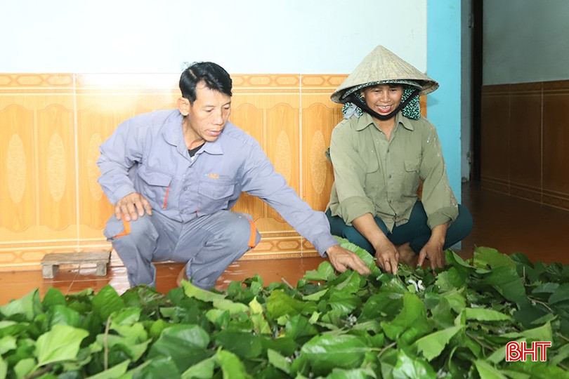 Nuôi tằm giúp gia đình bà Hiền có nguồn thu nhập ổn định. bqbht_br_5.jpg