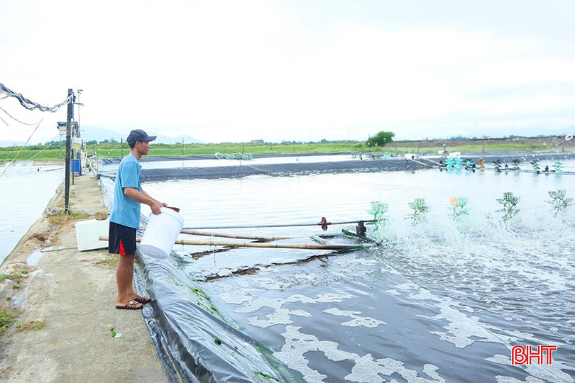 Các hộ nuôi tôm tại xã Cẩm Hà (huyện Cẩm Xuyên) chủ động triển khai các giải pháp nhằm hạn chế dịch bệnh (nếu có) phát sinh và lây lan. bqbht_br_05.jpg