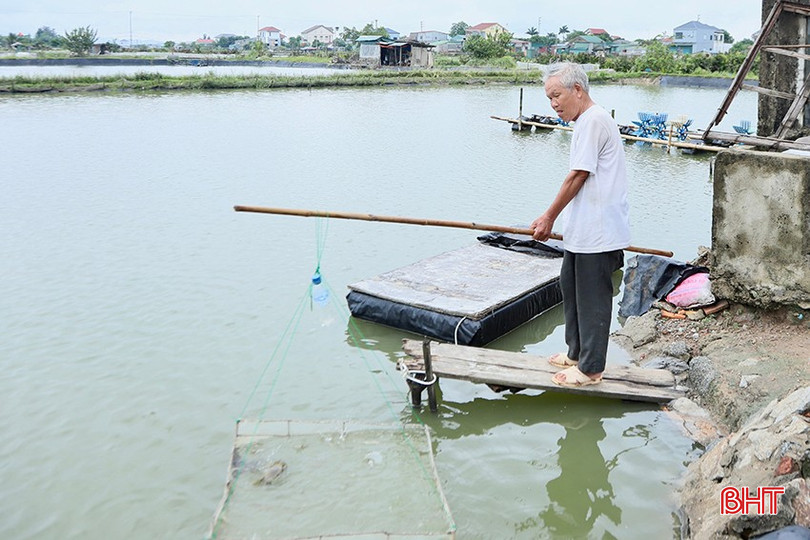 Ông Doãn kiểm tra khả năng sinh trưởng của tôm để điều tiết các chỉ số trong ao nuôi bqbht_br_03.jpg