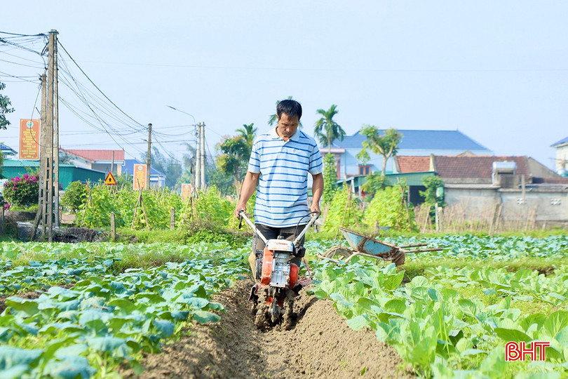 Tranh thủ thời tiết nắng ráo, ông Phan Văn Anh cày xới lại diện tích đất gieo trồng rau, củ bqbht_br_d3.jpg
