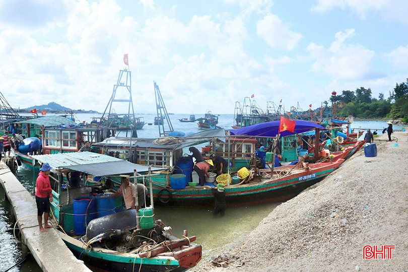 Mưa lớn kéo dài khiến lượng hải sản đánh bắt giảm. bqbht_br_kk.jpg