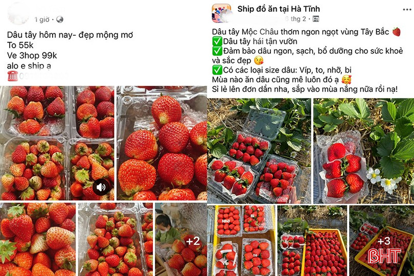 Dâu tây được nhiều chủ tài khoản rao bán tràn lan trên chợ mạng. bqbht_br_a3.jpg