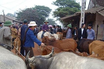 Một góc chợ nhe