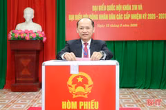 Phó Bí thư Thường trực Tỉnh ủy bỏ phiếu bầu cử tại phường Thành Sen