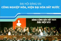 [Đảng Cộng sản Việt Nam qua các kỳ đại hội] Đại hội lần thứ VIII của Đảng 