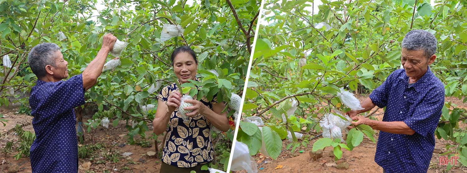 20 năm làm bí thư chi bộ vùng giáo: Còn cống hiến khi Đảng và dân cần! ảnh 11 20 năm làm bí thư chi bộ vùng giáo: Còn cống hiến khi Đảng và dân cần!