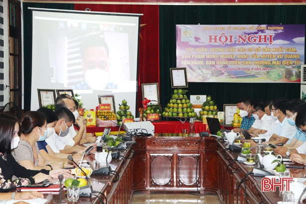 Đưa cam Vũ Quang lên sàn thương mại điện tử