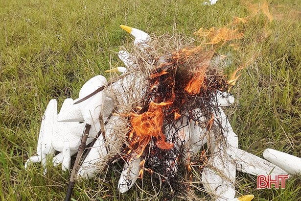 Thu giữ, tiêu hủy hơn 10.000 dụng cụ bẫy chim di cư ở thị xã Kỳ Anh