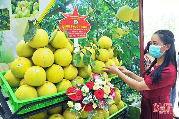 Nữ giám đốc 16 năm theo đuổi giấc mơ đưa đặc sản Hà Tĩnh vượt luỹ tre làng