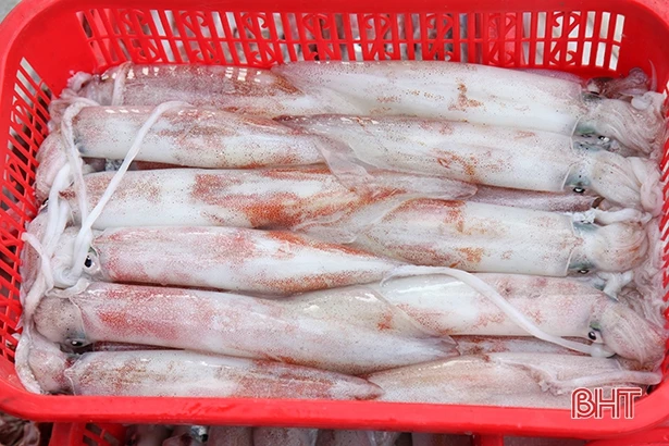 Đầu tư 280 tỷ đồng xây dựng cảng cá Cửa Nhượng