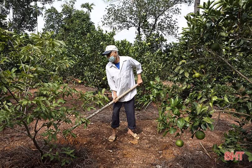 Người cao tuổi Hà Tĩnh nêu gương sáng trong cộng đồng