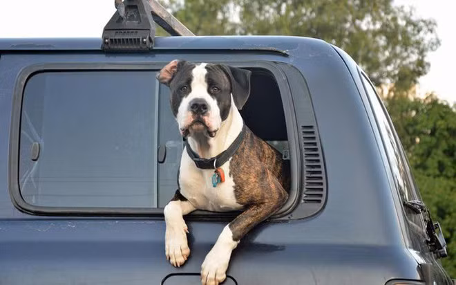 Những thói quen lái xe nguy hiểm có thể gây tai nạn