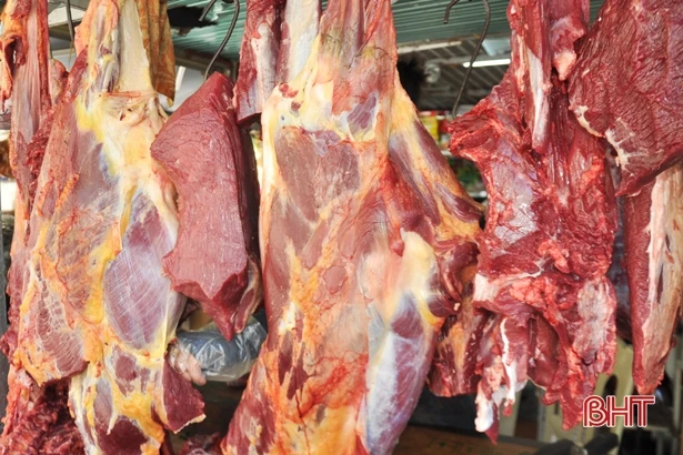 Dịch viêm da nổi cục được khống chế, thị trường thịt bò ở Hà Tĩnh “ấm” trở lại