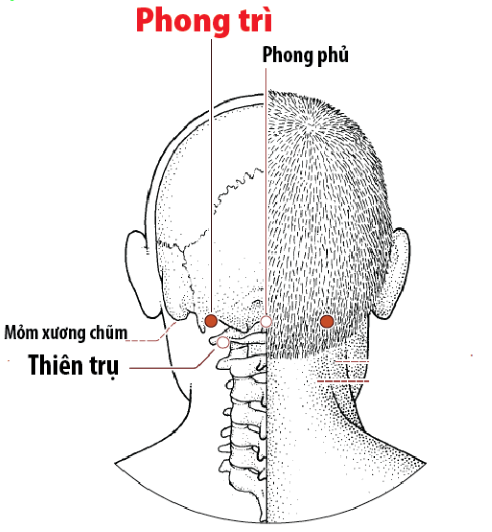 Day ấn 6 huyệt này sẽ giúp giảm viêm họng
