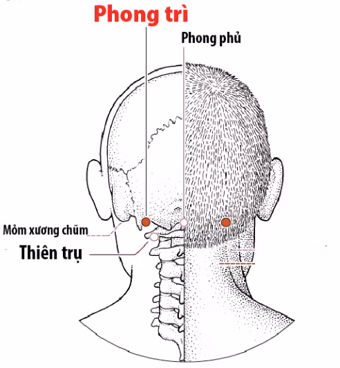 Day ấn 6 huyệt này sẽ giúp giảm viêm họng
