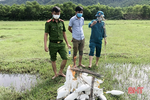 Thu giữ, tiêu hủy hơn 10.000 dụng cụ bẫy chim di cư ở thị xã Kỳ Anh
