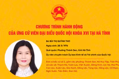 Chương trình hành động ứng cử viên ĐBQH khóa XVI Bùi Thị Quỳnh Thơ