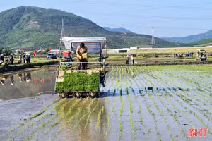 Lần đầu tiên nông dân Kỳ Xuân cấy lúa bằng máy và làm mạ khay