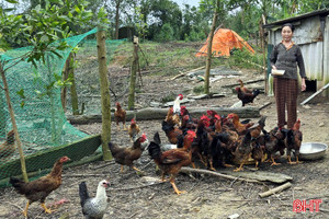 Hỗ trợ mô hình sinh kế giúp hộ nghèo Kỳ Lạc vươn lên