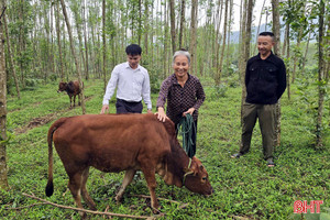 Mô hình sinh kế - “đòn bẩy” giúp Kỳ Thượng giảm nghèo bền vững