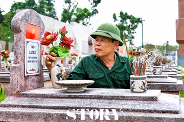 Tôi luôn tự nhủ phải chăm sóc họ bằng tất cả sự tận tâm, như chăm sóc chính người thân của mình. Từng nhành cỏ được nhổ đi, từng vết bụi được lau sạch, tất cả đều được thực hiện trong sự cẩn trọng và kính cẩn.