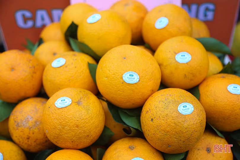 Có gì tại Lễ hội Cam và các sản phẩm nông nghiệp Hà Tĩnh lần thứ 5?