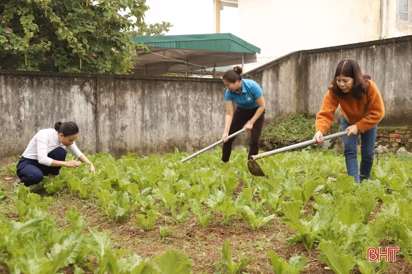 Nữ nhà giáo “hai giỏi” ở huyện miền núi Hà Tĩnh
