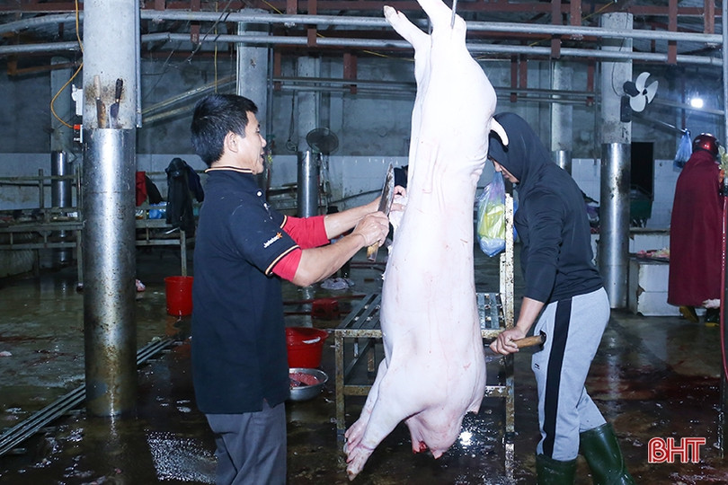 Kiểm tra đột xuất lò mổ gia súc tập trung tại TP Hà Tĩnh