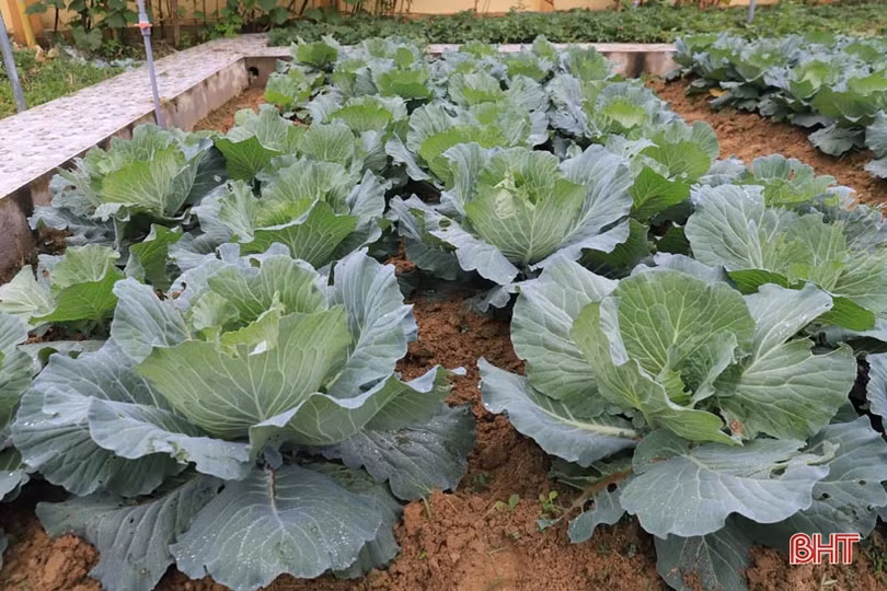 Ngôi trường rực rỡ sắc màu ở huyện miền núi Hà Tĩnh