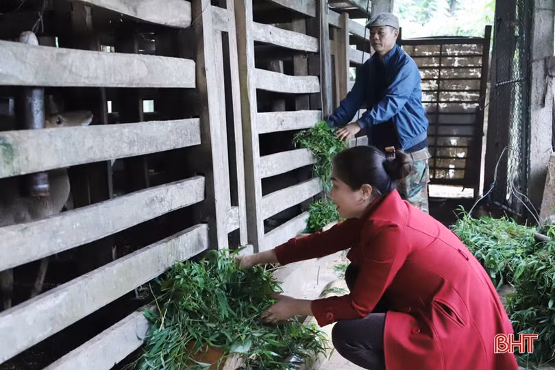 Nữ nhà giáo “hai giỏi” ở huyện miền núi Hà Tĩnh