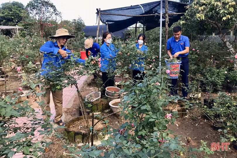 Nam thanh niên ở Nghi Xuân khởi nghiệp thành công từ trồng hoa, cây cảnh