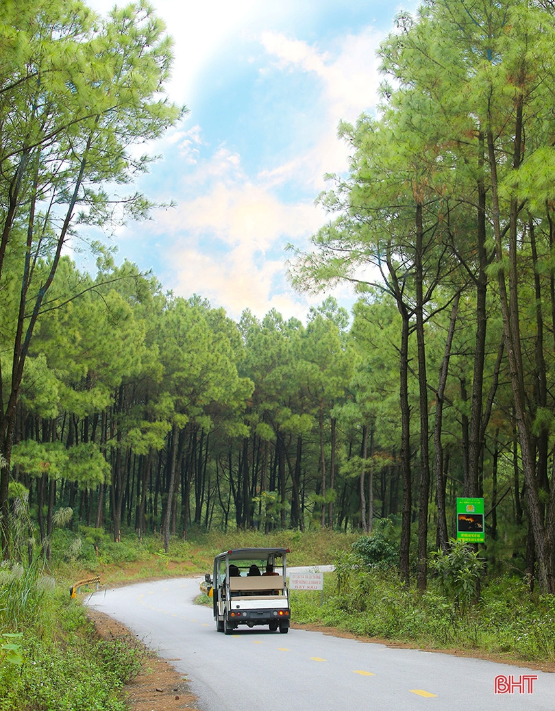 Vẻ đẹp cung đường dẫn tới Hoan Châu đệ nhất danh lam ở Hà Tĩnh